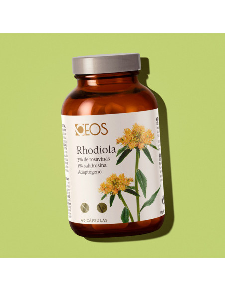 Rhodiola – 60 cápsulas